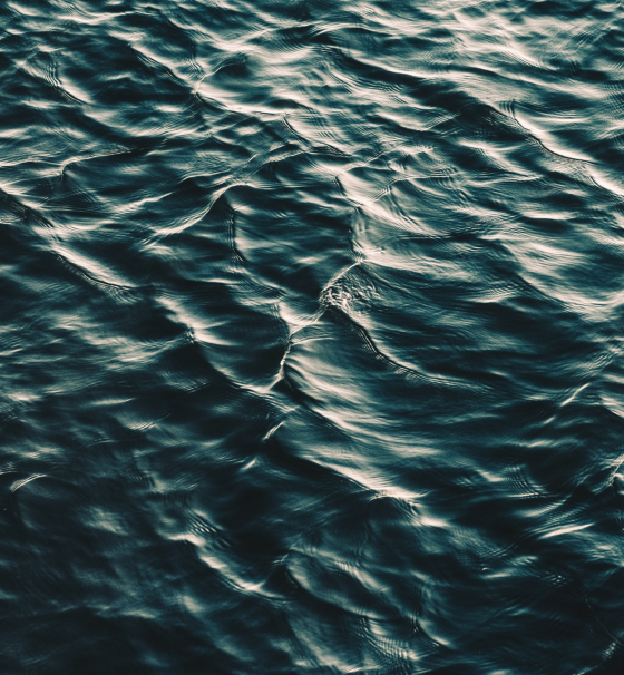 Miir Travel Tumbler White 350 ml bílý hrnek na kávu | Lázeňská káva